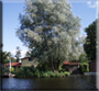 Locatie